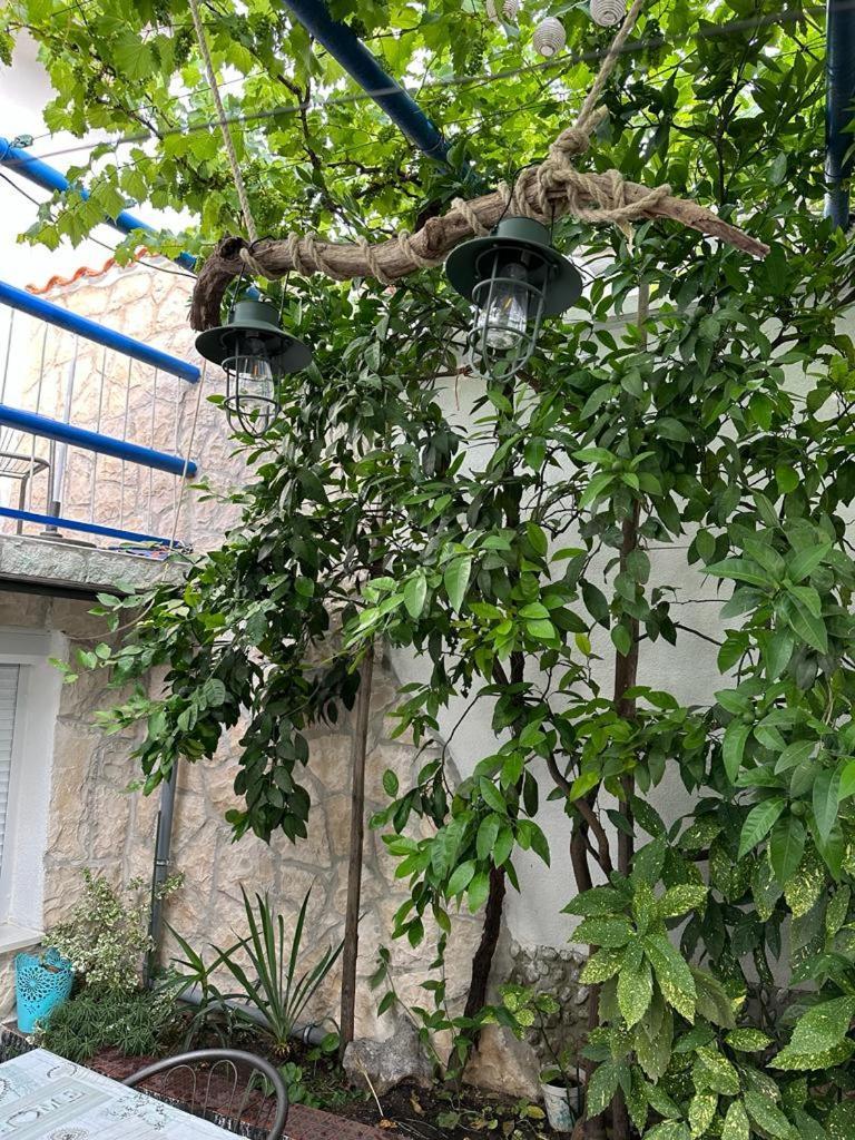 Vila Katica Bribir  Luaran gambar