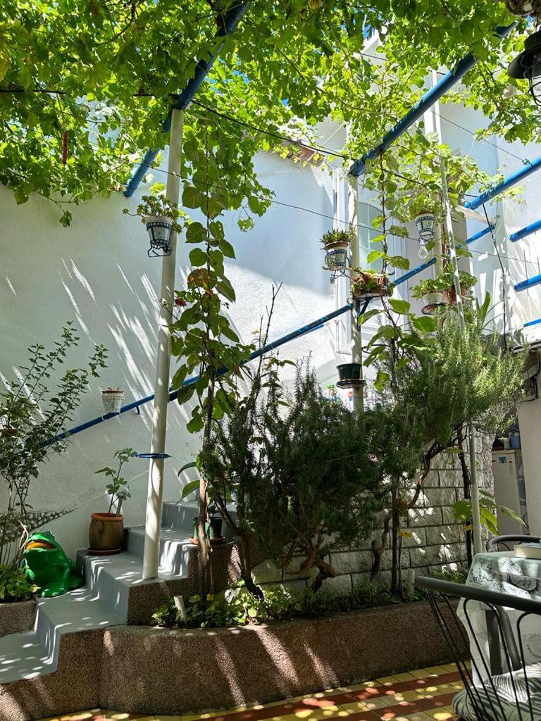 Vila Katica Bribir  Luaran gambar